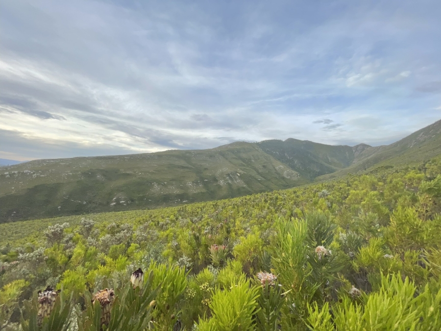 0 Bedroom Property for Sale in Joubertina Eastern Cape
